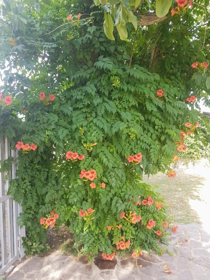 Loc.cioccaie Grosseto
